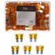 Sett med blad-sikringer for bil MECHANIC FUSE SET 5A, 100 stk