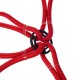 Gummistrikk/gummibånd edderkopp CARGO CORD SPIDER BASIC 80, 80 cm, 8 armer