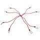 Gummistrikk/gummibånd edderkopp CARGO CORD SPIDER BASIC 120, 120 cm, 8 armer